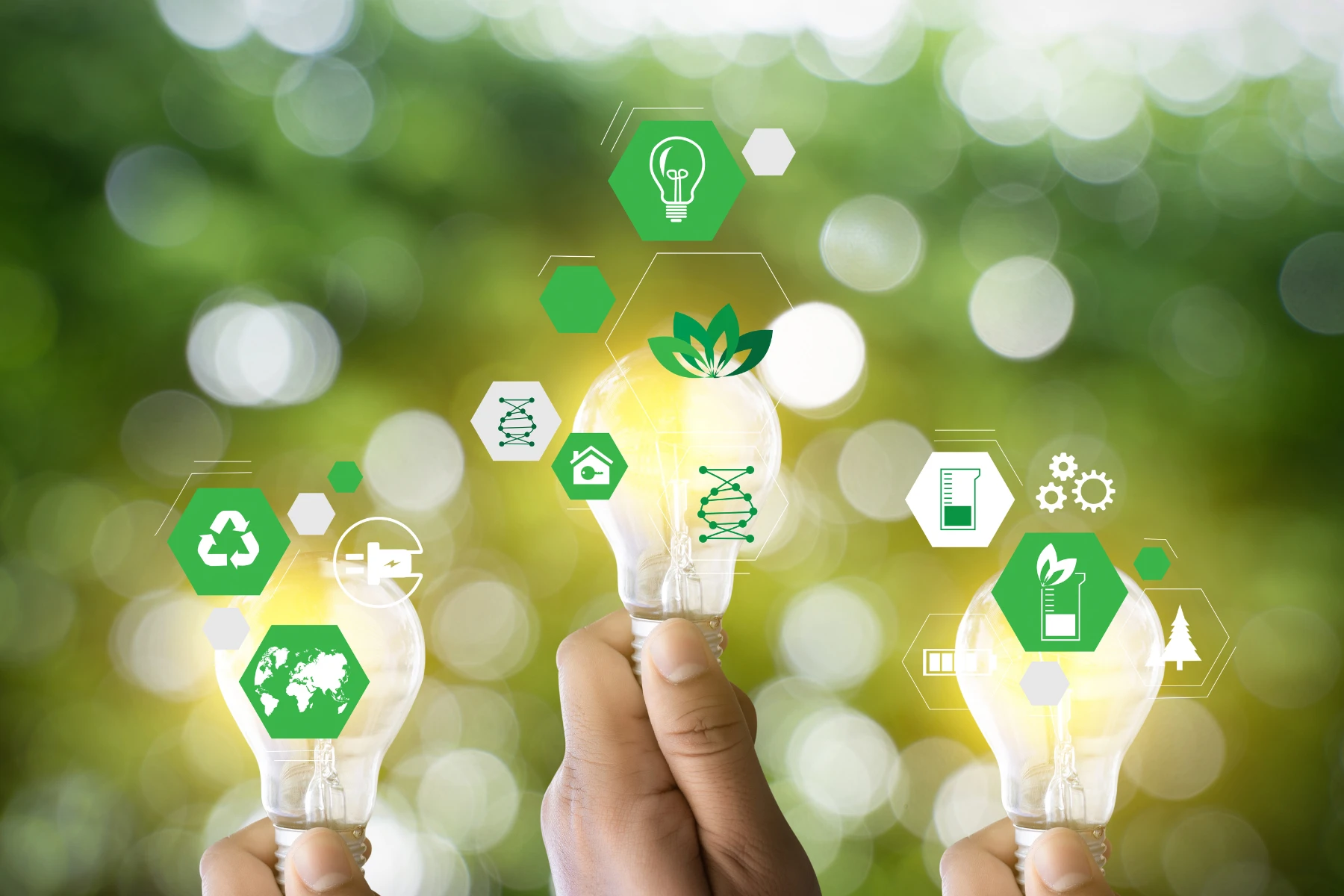 Sustainability is an emerging best practice for supply chain management