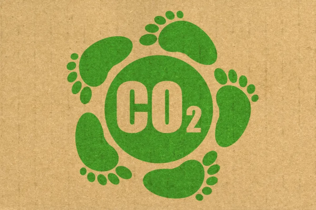 carbon neutral shipping