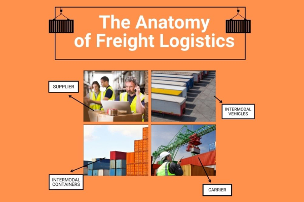 Freight Logistics 101: the Anatomy & Place in the Supply Chain [Infographic] image